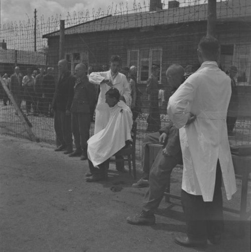 De vergeten slachtoffers van WO2 - Stormfront