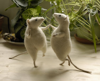 Funny Animals Dancing