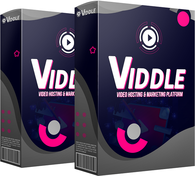 Viddle Review