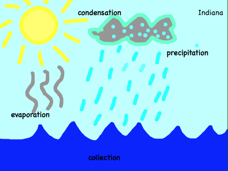 Room 14 Sunnybrae Normal School 2015 Indiana explains why we need the