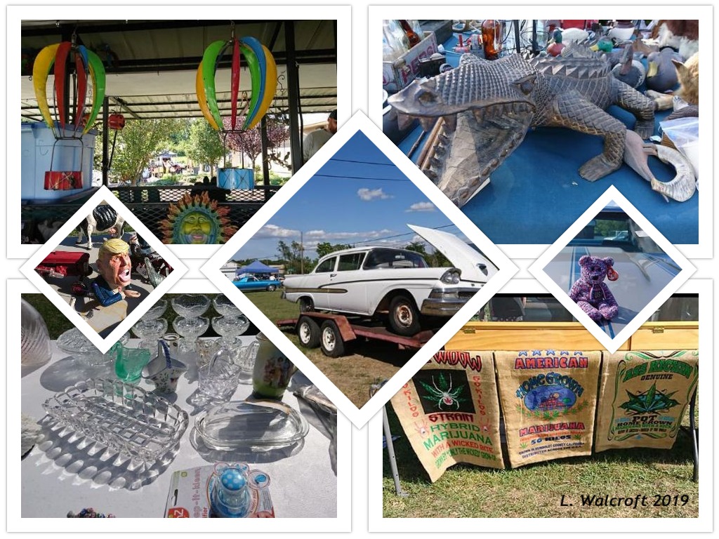 The View from Squirrel Ridge Randomosity Fun