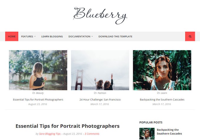 Blueberry Blogger Template -Discount 100% OFF (free)