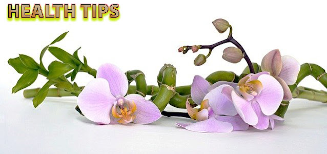 6 amazing medicinal benefits of phalsa to health