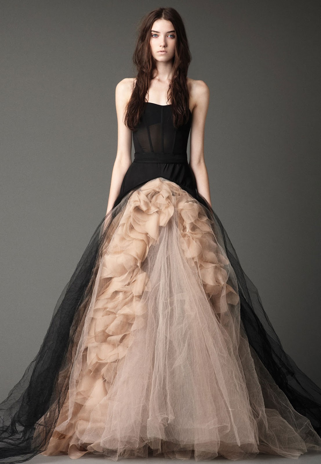 Cjnt Wedding Inspirations Vera Wang Fall 2012 Bridal Gown Collection Black Colour 