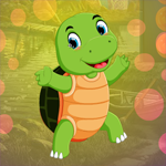 Games4King Small Tortoise…