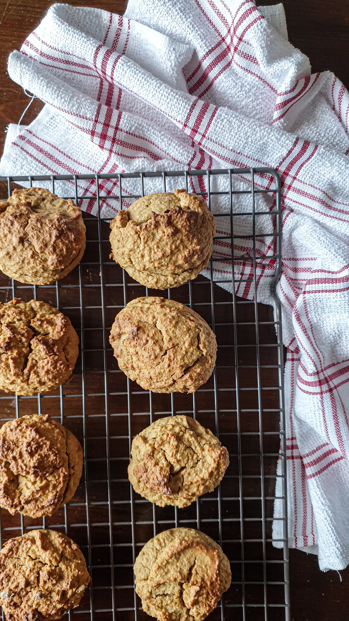 Muffins de Aveia e de Laranja Inteira