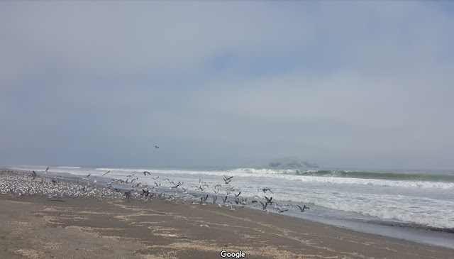Playa Mamacona