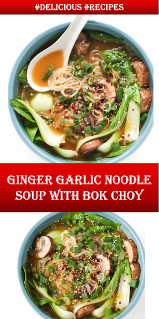 Ginger Garlic Noodle Soup with Bok Choy - BANGWAN RECIPES 2