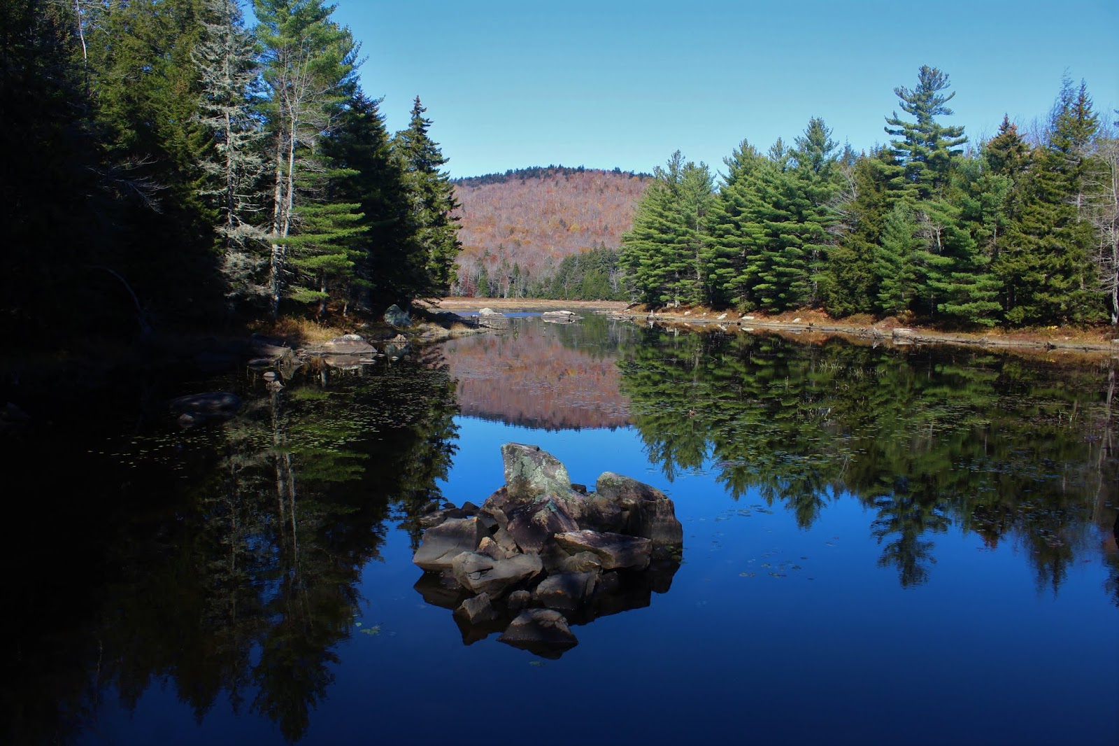 Walking Man 24 7 Spruce Mountain(Wilcox Lake Wild ForestAdirondacks)