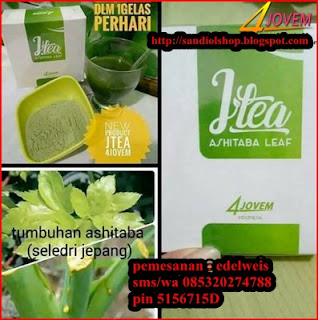 Jtea Ashitaba - produk kesehatan terbaru dari jovem