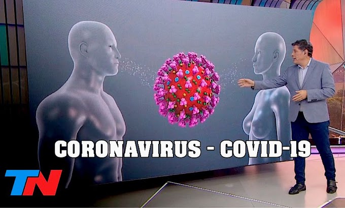 CORONAVIRUS: Cómo es el COVID-19 por dentro, cómo opera en el cuerpo humano y cómo se transmite
