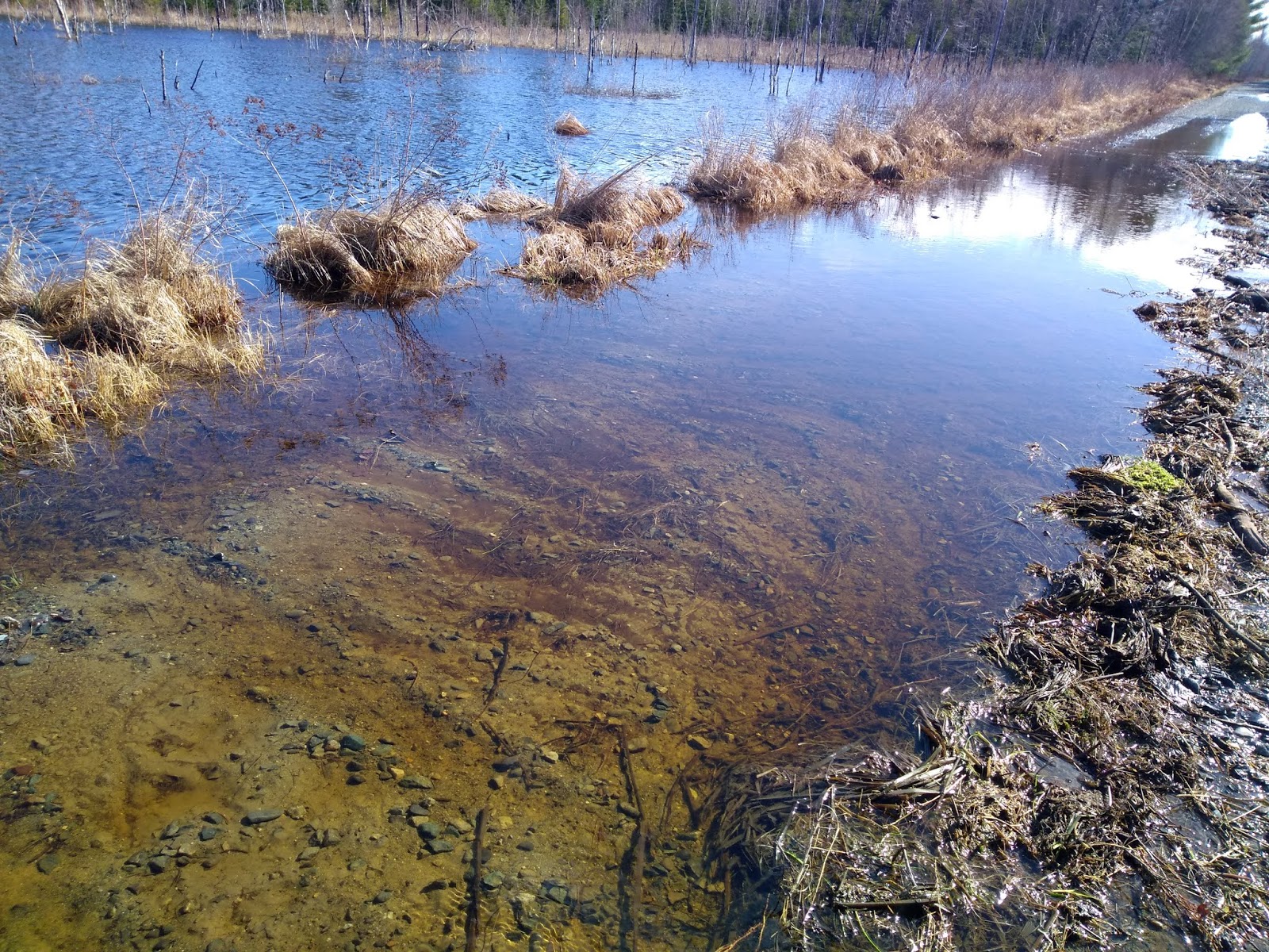 Biking and Hiking on the Down East Sunrise Trail in Ellsworth