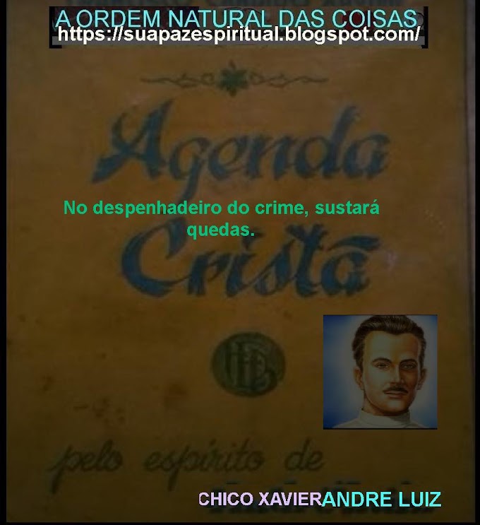 DIARIO CRISTÃO (40)-andre luiz