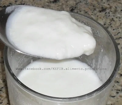 Kefir Alimento Probiótico