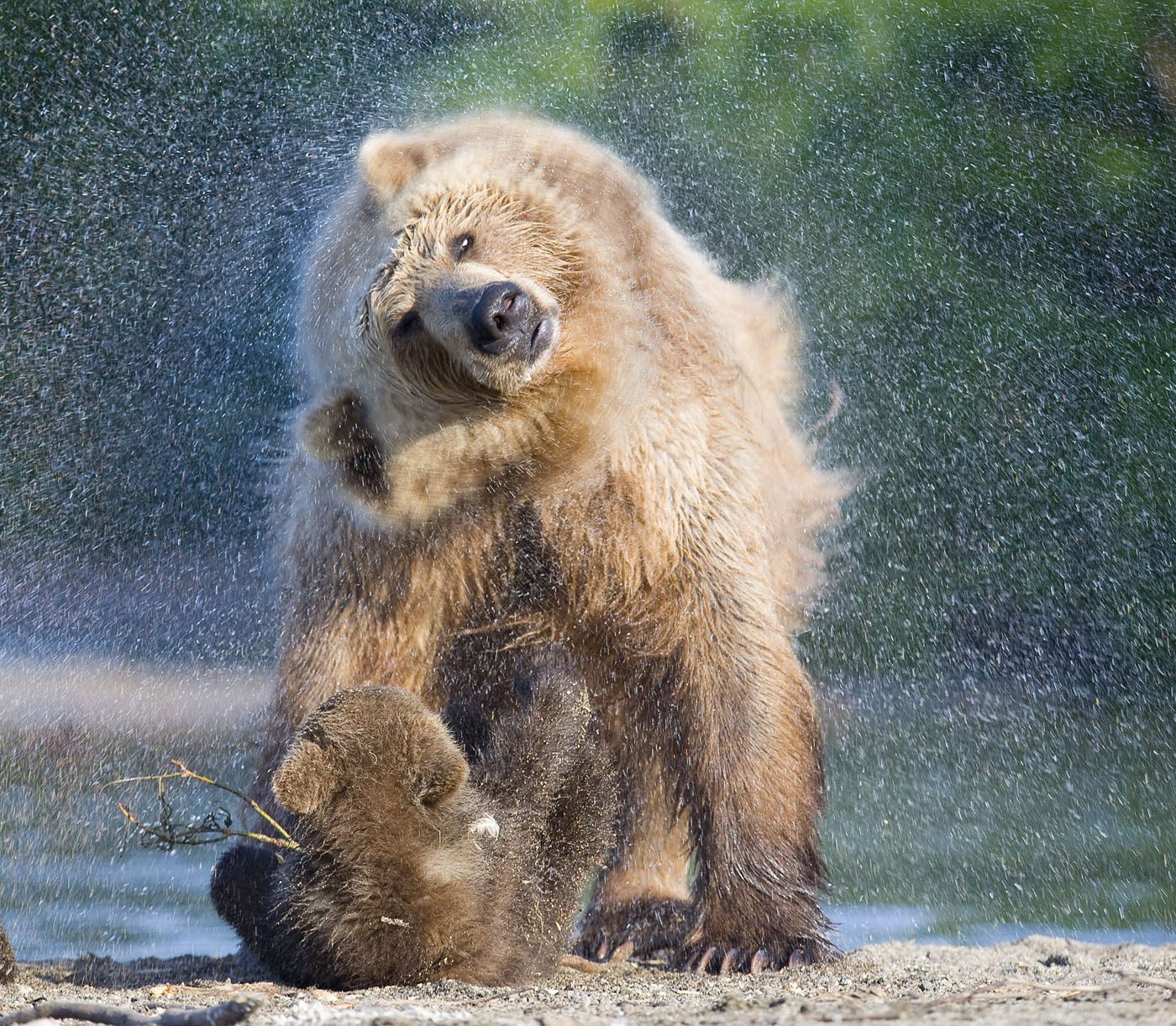 Shower from Mom