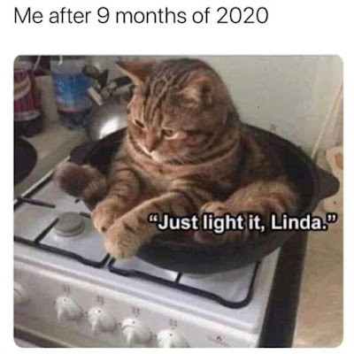 Me after 9 months of 2020 - "Just light it, Linda."