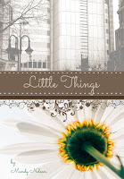 Little Things book cover mock up3
