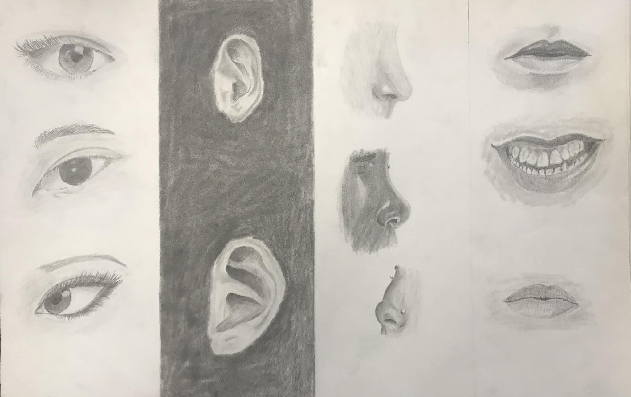 Art 1- Facial Features