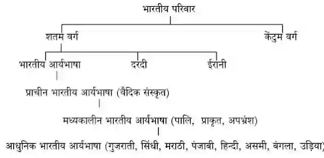 हिंदी भाषा का इतिहास और हिंदी भाषा का विकास