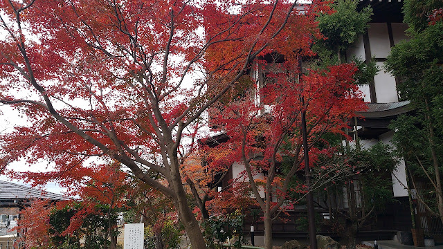 心行寺のもみじ 心行寺のもみじ