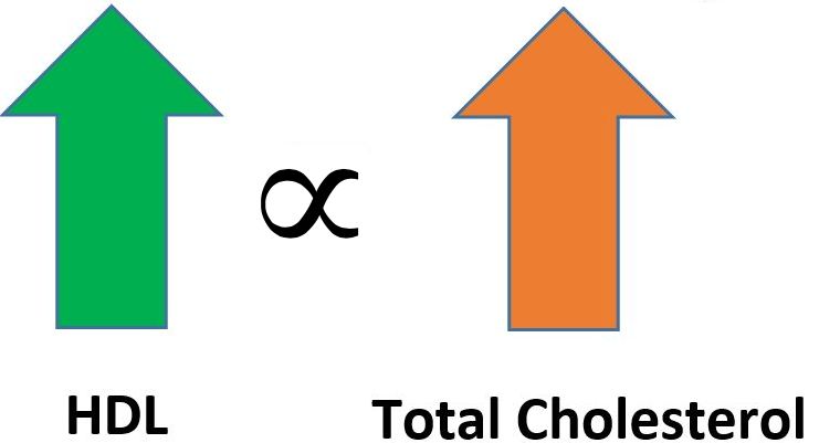 fat protein carbs cholesterol most misunderstood lipid friedewald equation