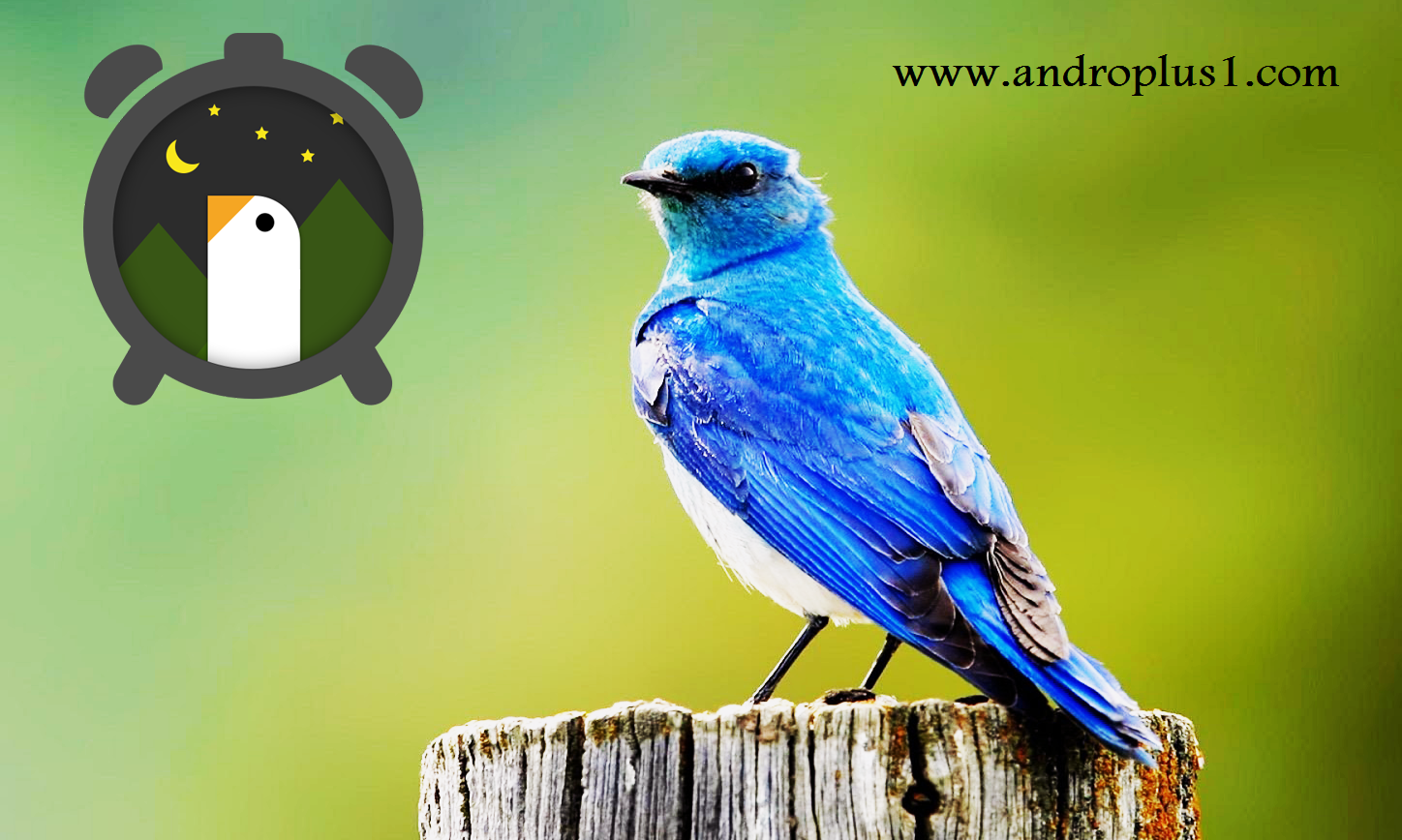 huge digital clock pro apk free download huge digital clock pro apk free download
