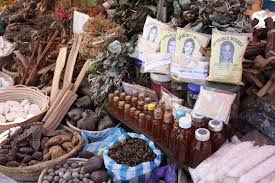 Traditional Medicine in India