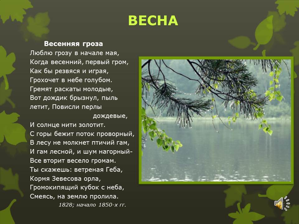 весенние цитаты. я люблю весну. я люблю весну. настроение мое тюльпанное автор.