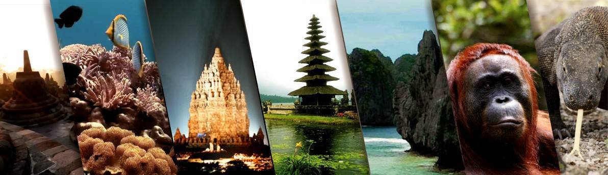 Indonesia Cheap Tour Package Information Blog
