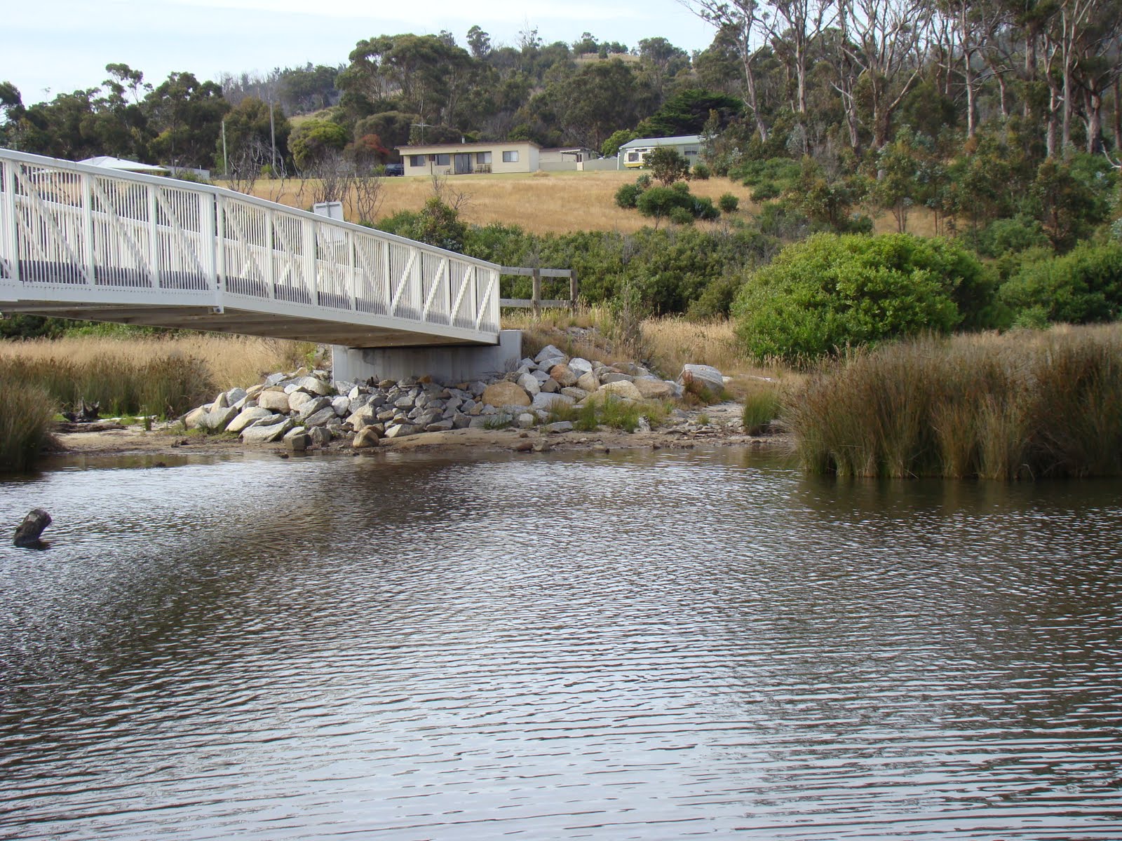 Trav'lin About Four Mile Creek