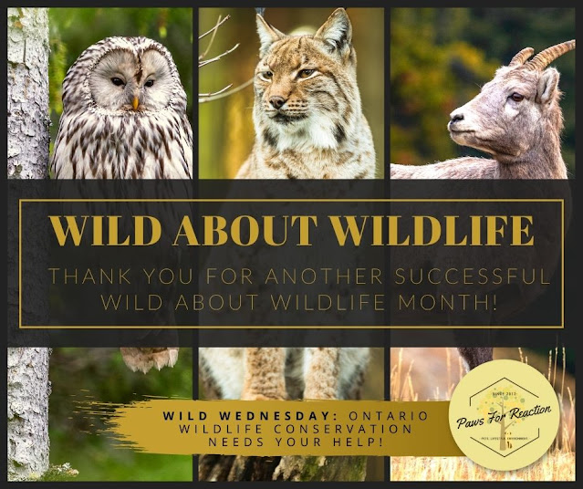 Thank you for celebrating Wild About Wildlife Month: Wild Wednesday raised awareness about local wildlife conservation