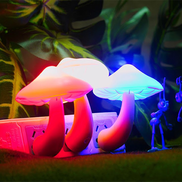 Interesting LED Mushroom Night lamp 