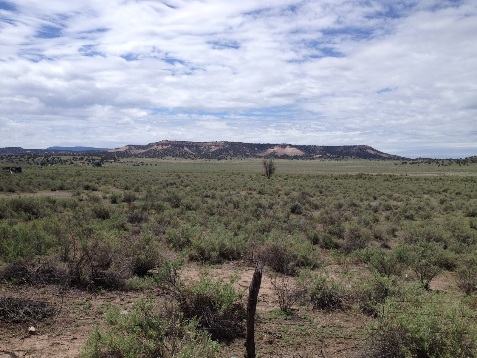 Larry's Bike Ride Adventures Day in Quemado, NM