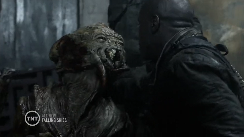 Falling Skies 1,2,3,4,5 Temporada 2015 Bluray