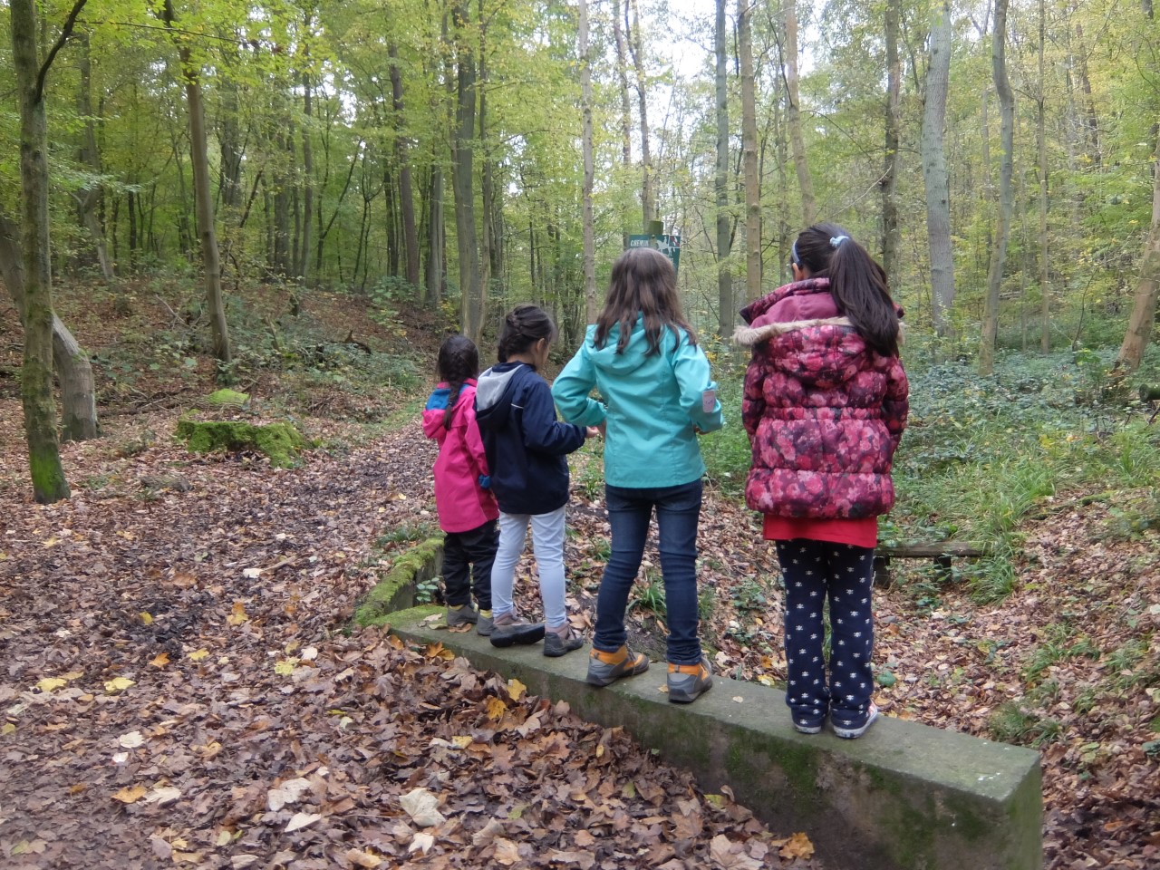 2017年11月3日(金) ソワーニュの森オーデルゲム入口での活動