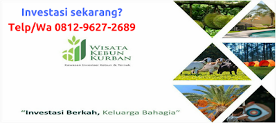 Wisata Kebun Kurban, Wa 0812-9627-2689, Jual Tanah Kavling Di Makassar, Jual Tanah Kavling Murah Di Makassar, Harga Tanah Kavling Di Makassar