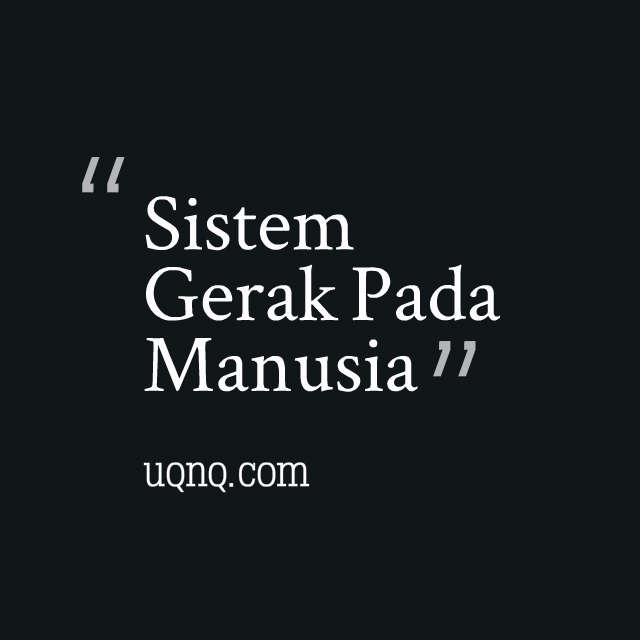 Informasi Sistem Gerak Pada Manusia - uqnq.com