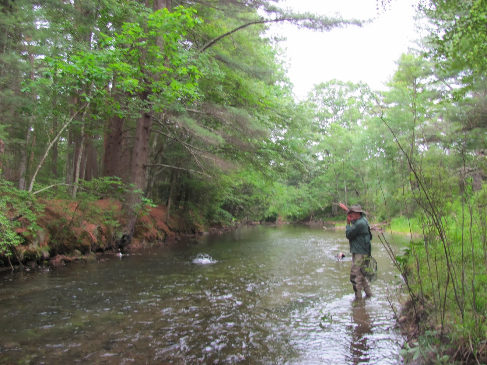 to the Millers River Fly Fishing Forum Tenkara Revisited and