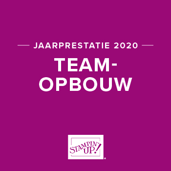 Jaarprestatie 2020