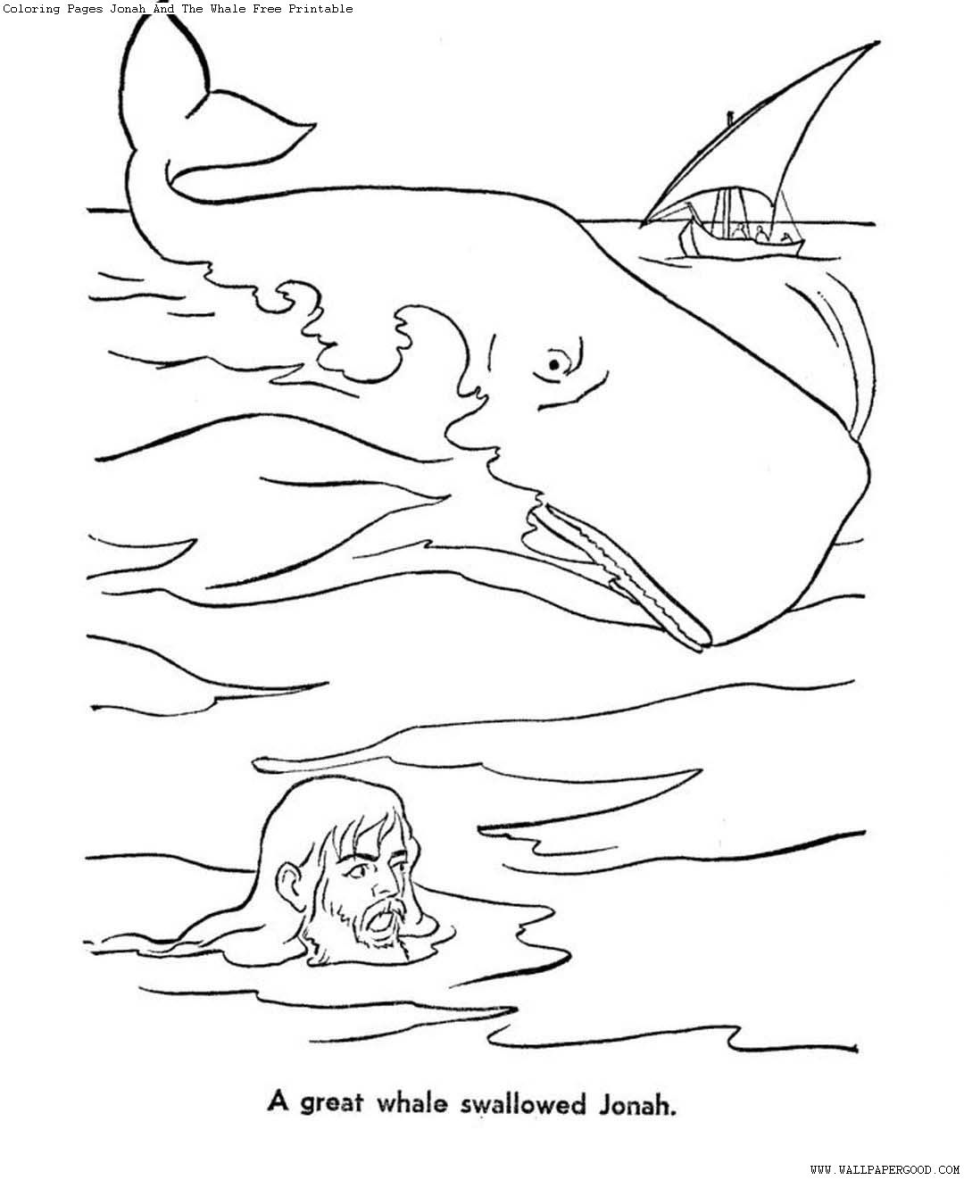 32+ beautiful pict Jonah And The Whale Coloring Pages For Kids - Jonah