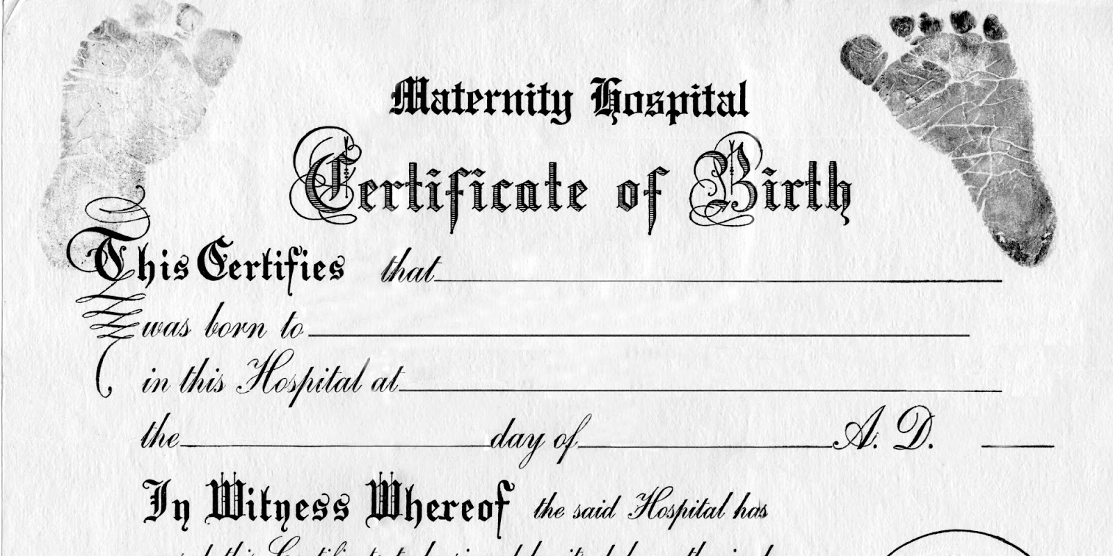only-human-children-suffer-when-birth-certificates-lie