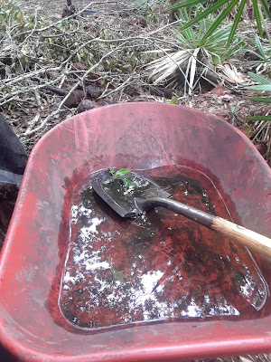 wheel barrow with water