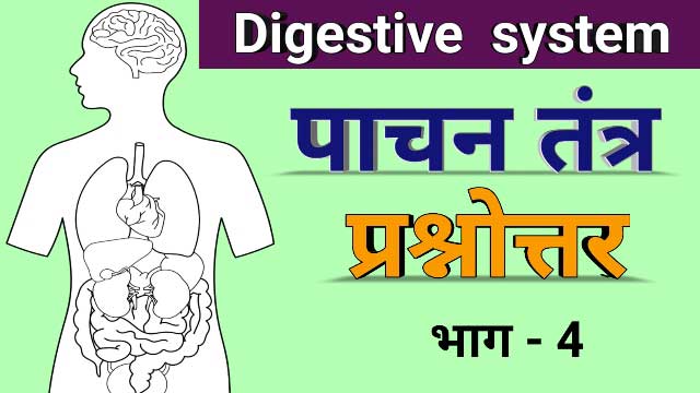 Digestive system - पाचन तंत्र Glands, digestive glands, biology questions in hindi, digestive system questions
