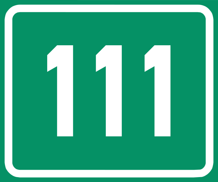111 group