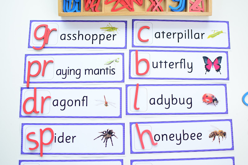 Insect Themed Lesson Plans for Kindergarten to First Grade | The Pinay