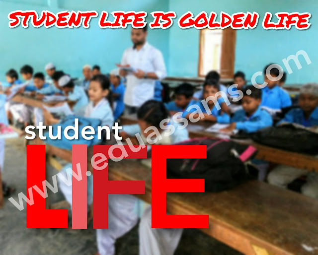 Free essay websites for students picture