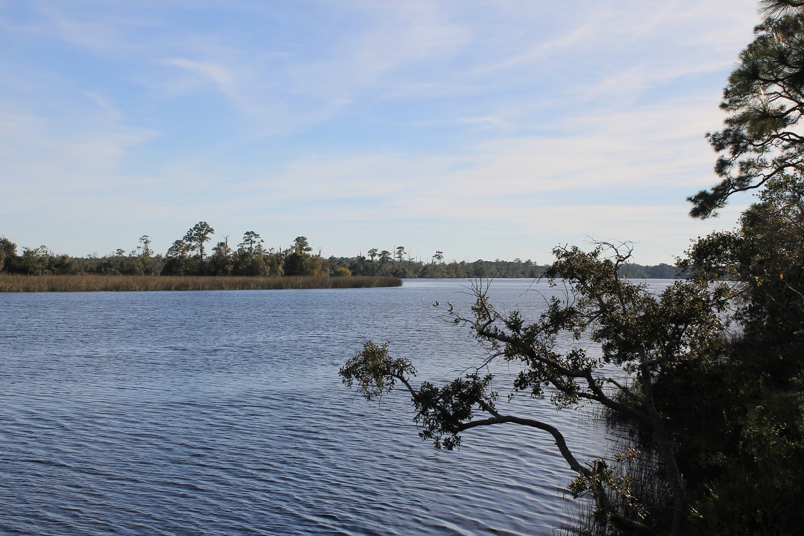 lovemycamper Ochlockonee River State Park, Sopchoppy, FL
