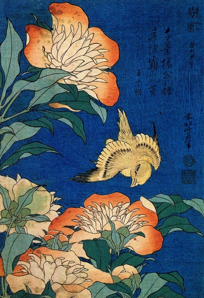 Katsushika Hokusai, Kanarífugl og peonía, 1834