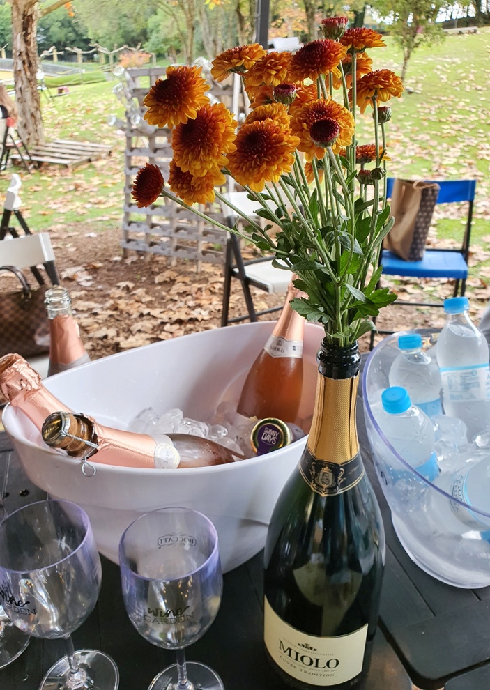 Wine Garden Miolo o jardim do vinho mais charmoso do Vale dos Vinhedos