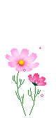 unnamed.gif
